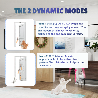 The Pounce Buddy™ — Keep Your Cat Happy, Stimulated & Out of Trouble.    (Even When You're Not Home)